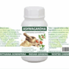 Ashwagandha Capsules