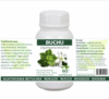 Buchu Capsules – Urinary Tract & Inflammation Support