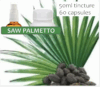 Saw Palmetto Capsules – Men’s Wellness Support