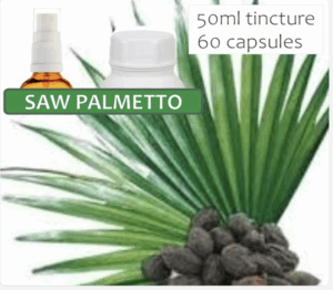 Saw Palmetto – Prostate & Hair Support
