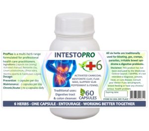IntestoPro 60 Capsules