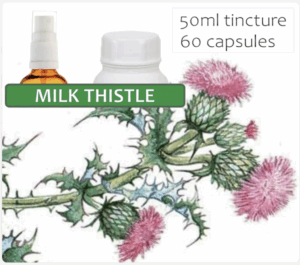Milk Thistle Capsules – Liver Support