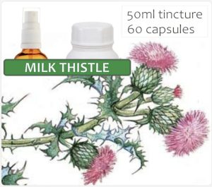Milk Thistle 60 Capsules