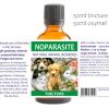 NoParasite Remedy