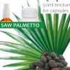 Saw Palmetto Herbal Capsules